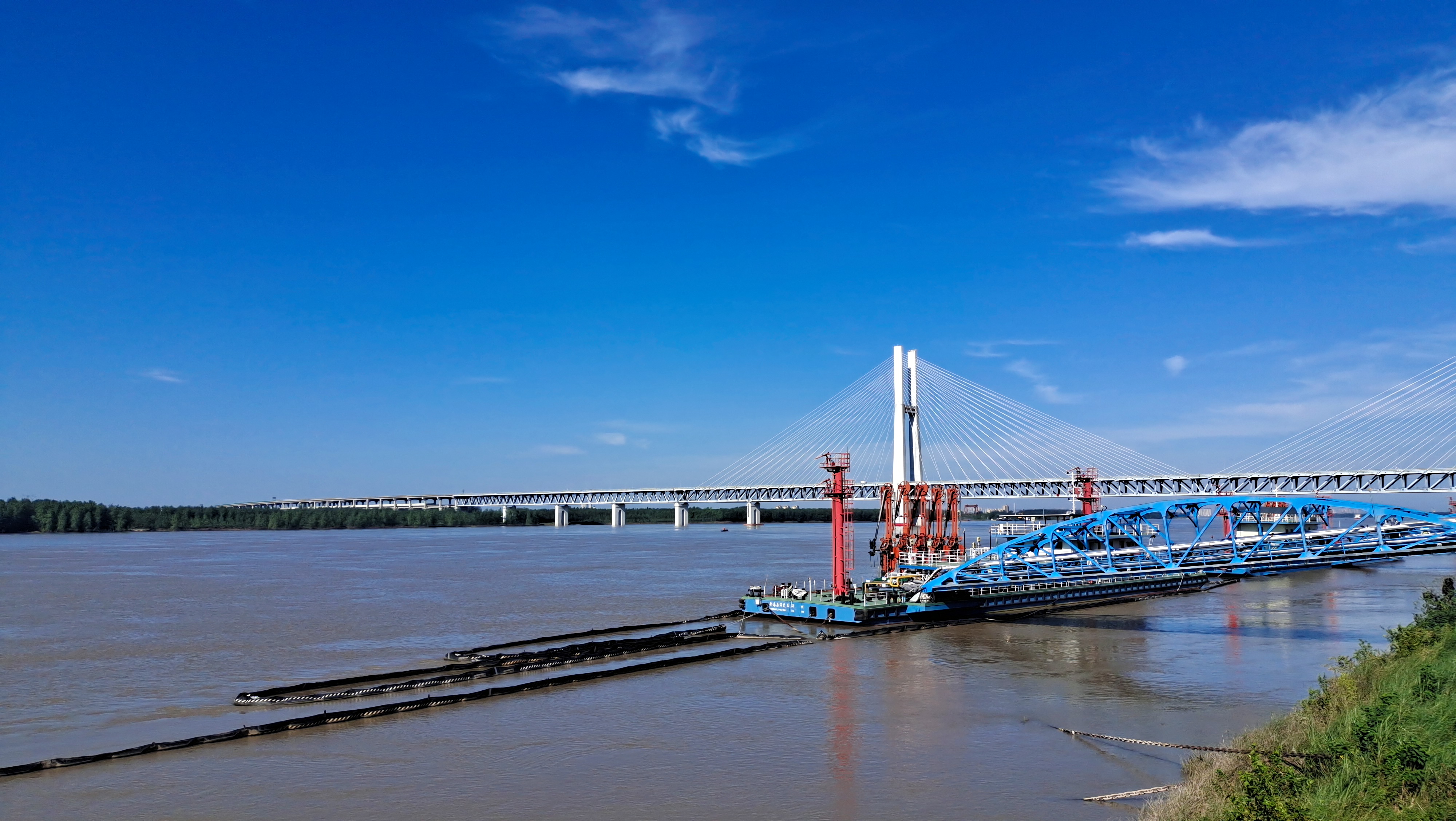 抖圈- (中国区)抖圈为赌而生