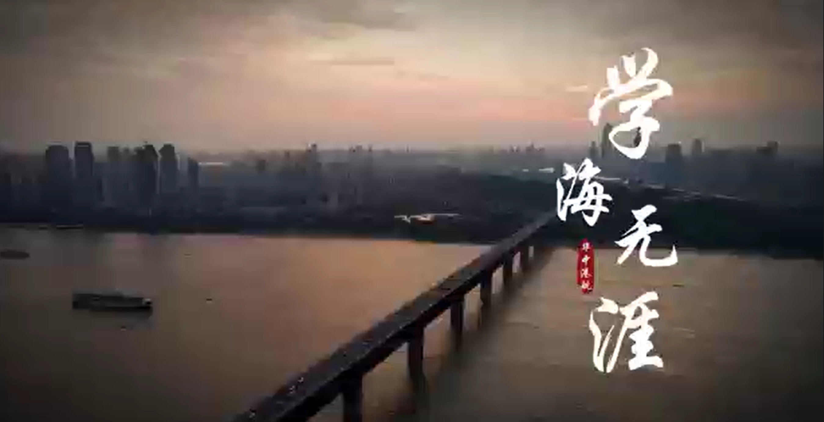 抖圈- (中国区)抖圈为赌而生