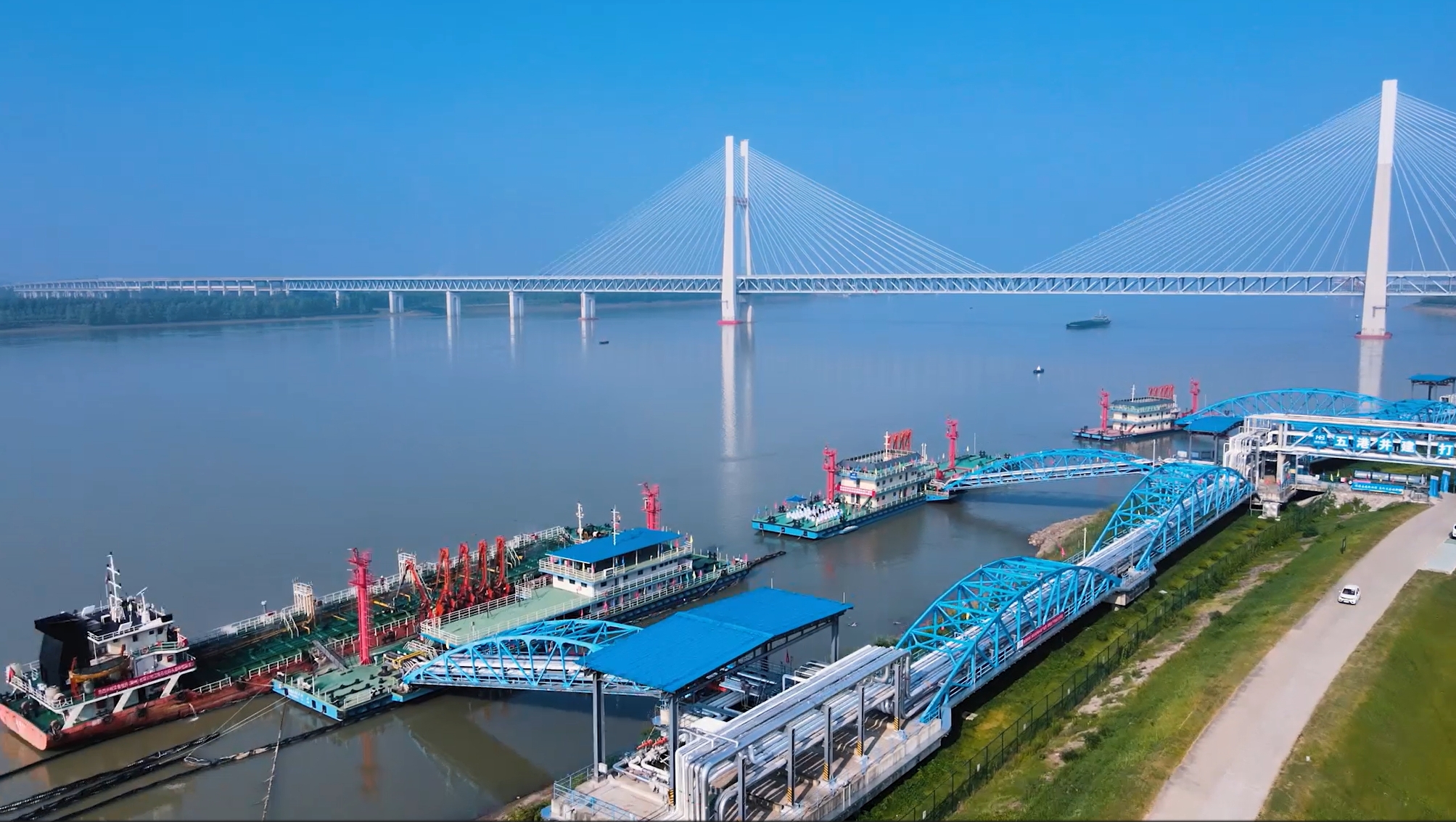 抖圈- (中国区)抖圈为赌而生