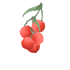 ��Ȧ- (�й���)��ȦΪ�Ķ���