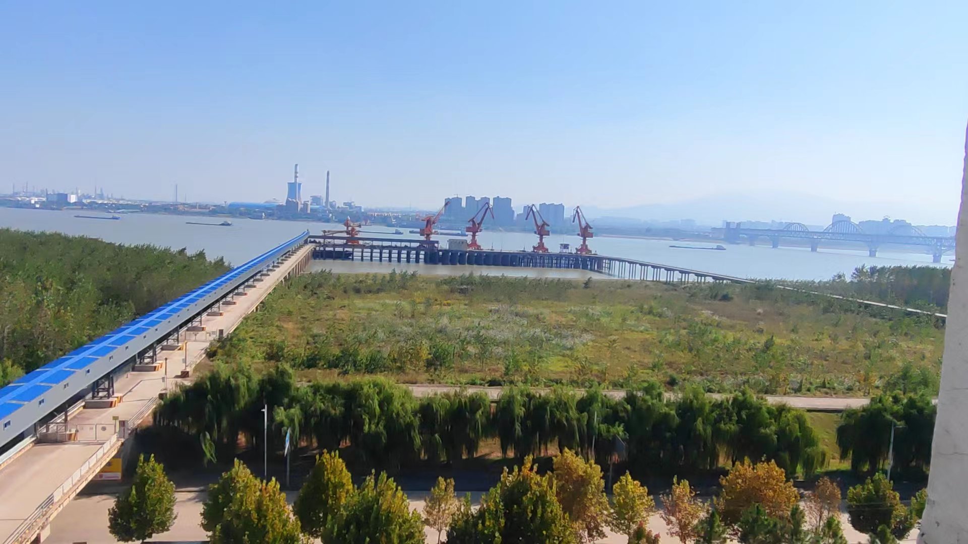 抖圈- (中国区)抖圈为赌而生