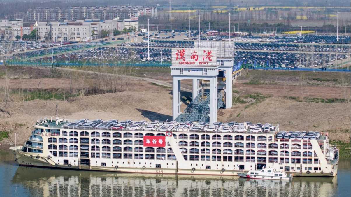 抖圈- (中国区)抖圈为赌而生