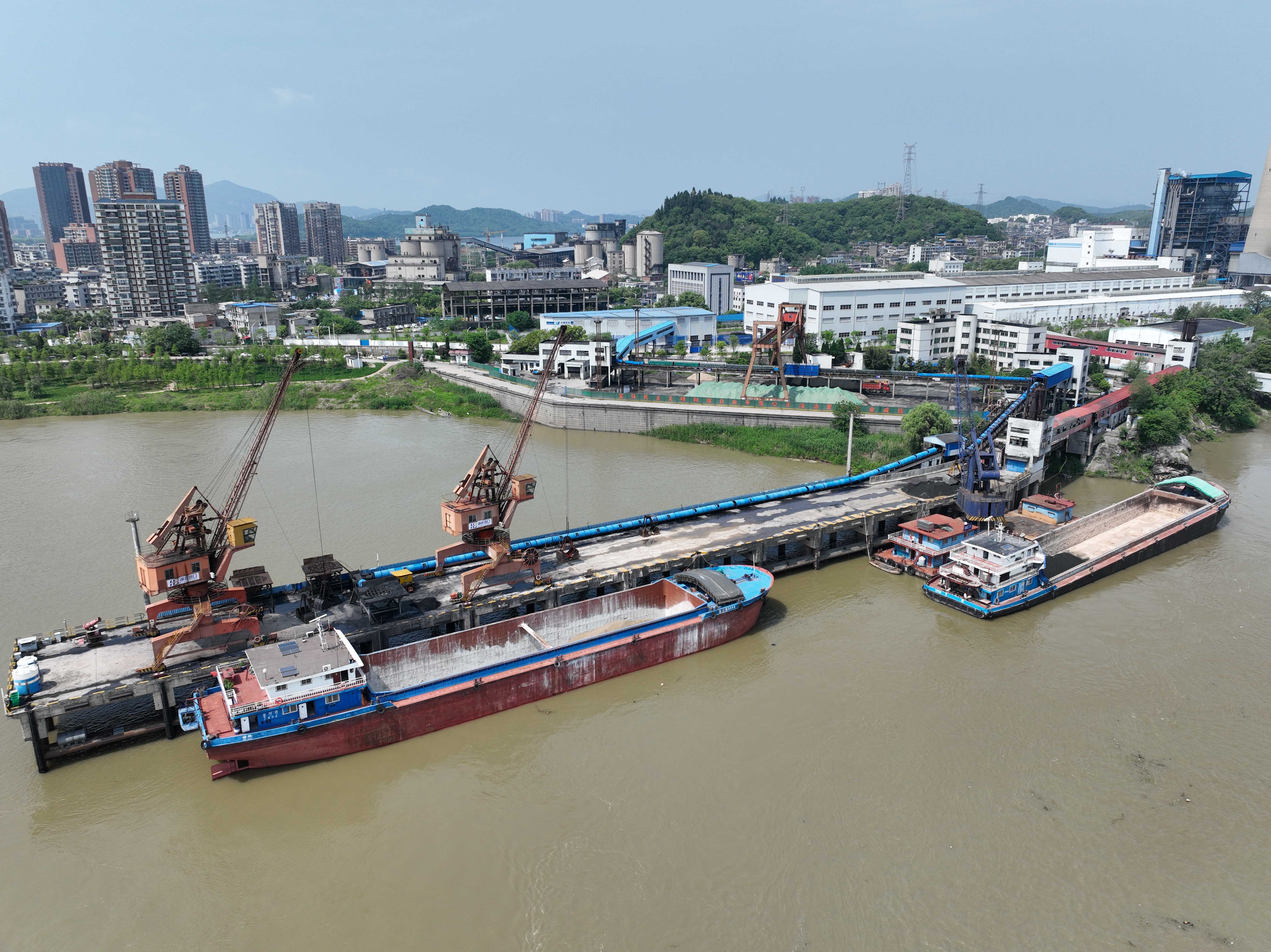 抖圈- (中国区)抖圈为赌而生