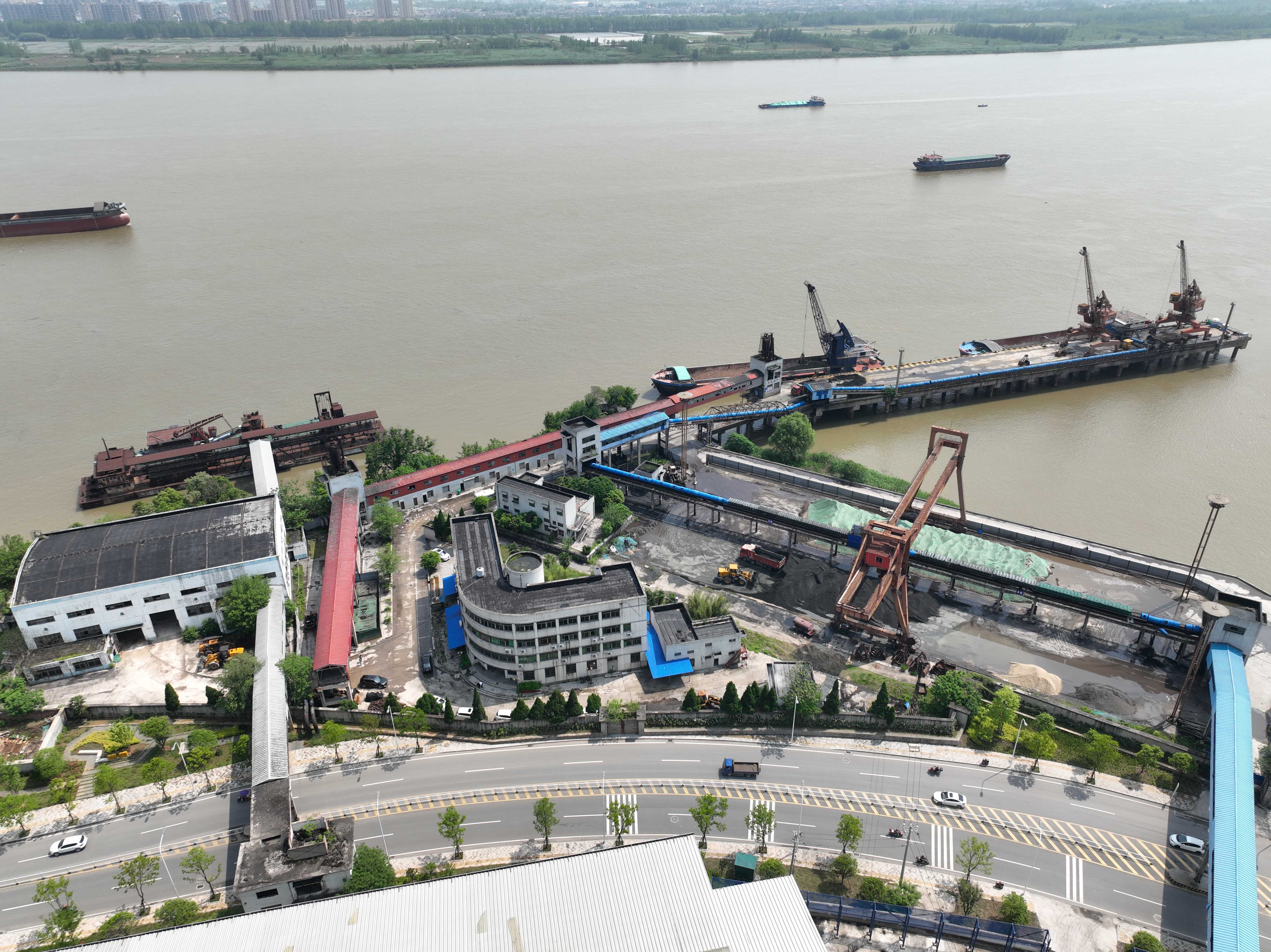 抖圈- (中国区)抖圈为赌而生